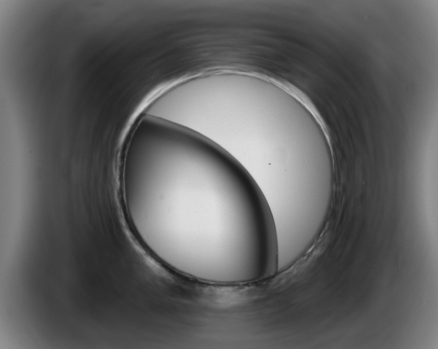 X0000085261005200703090851