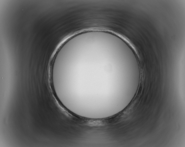 X0000085261006200703090851