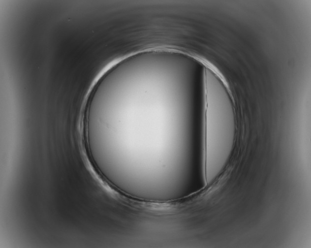 X0000085261007200703090851