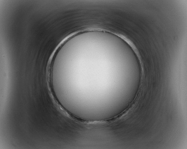 X0000085261008200703090851