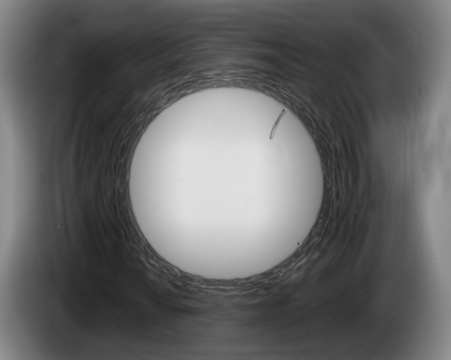 X0000085261010200703090850