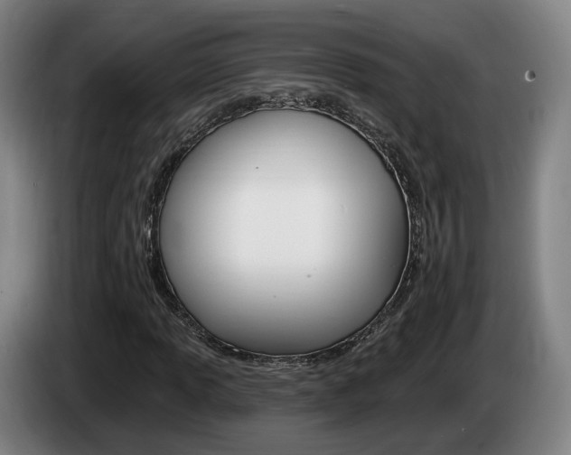 X0000085261013200703090850