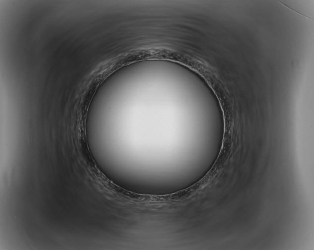 X0000085261014200703090850