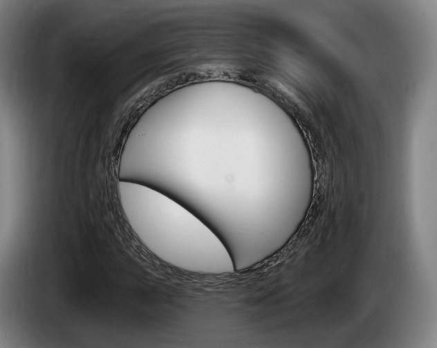 X0000085261015200703090850