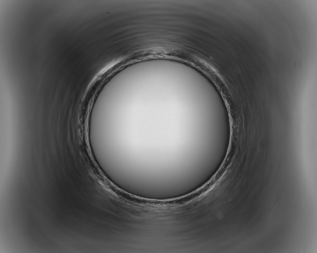 X0000085261018200703090850