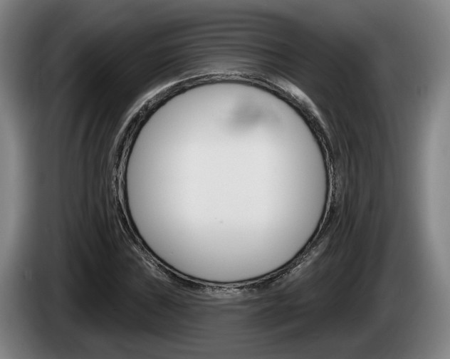 X0000085261019200703090850