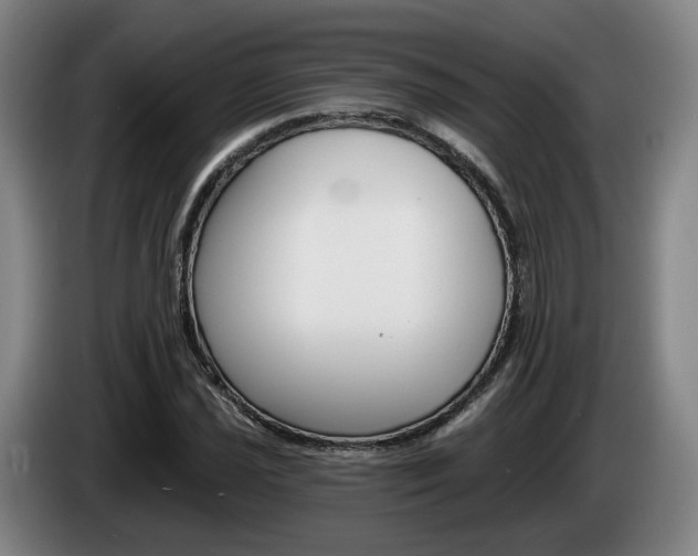 X0000085261021200703090850