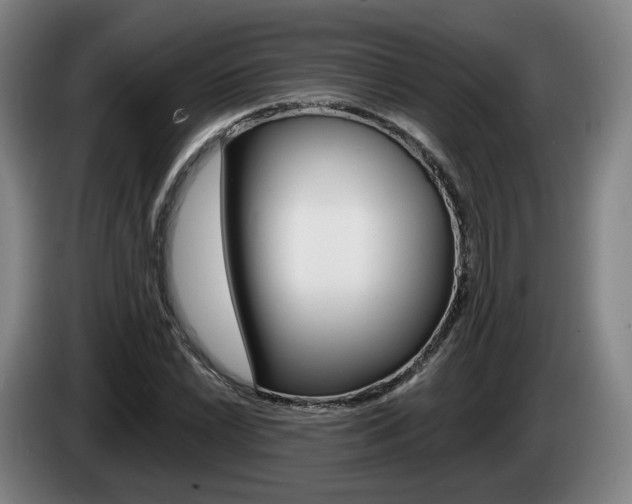 X0000085261022200703090850