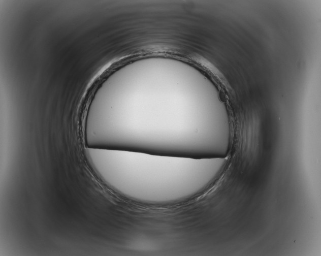 X0000085261023200703090850