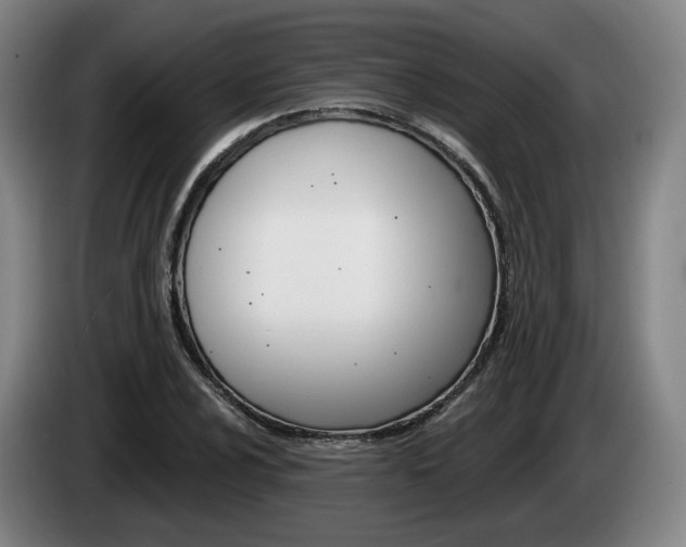 X0000085261024200703090850