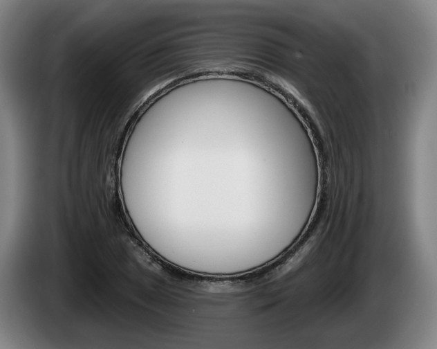 X0000085261025200703090850