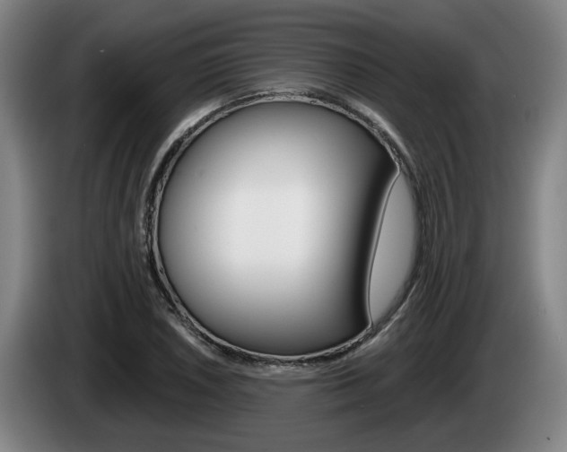 X0000085261026200703090850