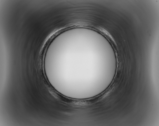 X0000085261027200703090850