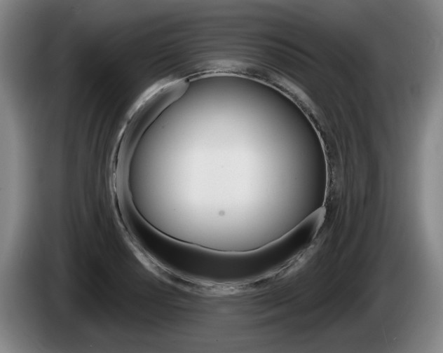 X0000085261034200703090850