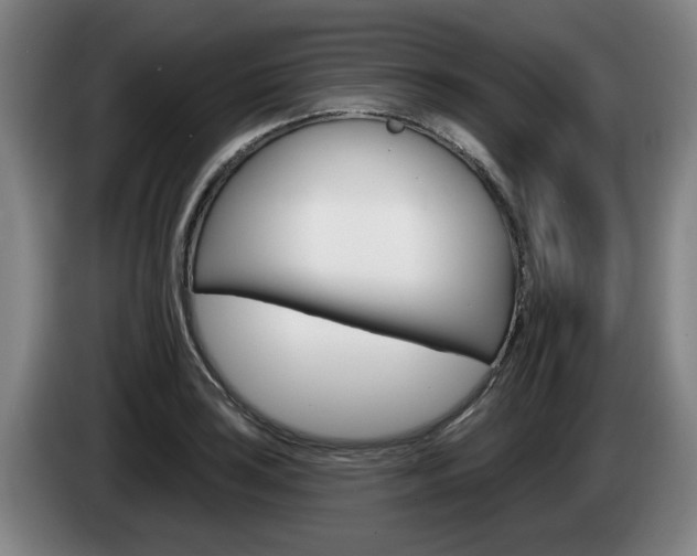 X0000085261035200703090850