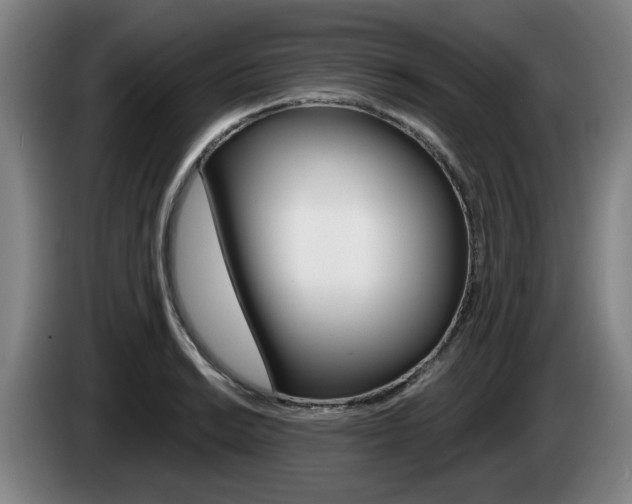 X0000085261038200703090851
