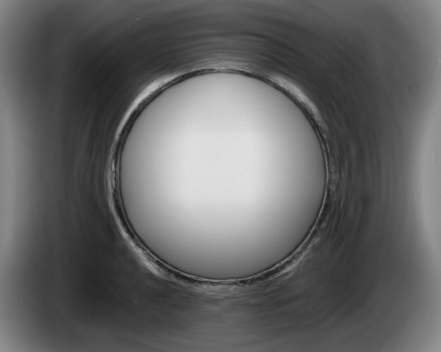 X0000085261040200703090851