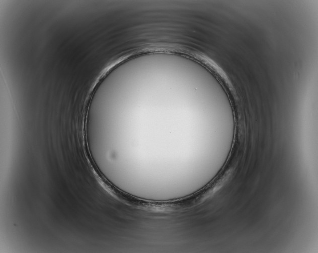 X0000085261041200703090851
