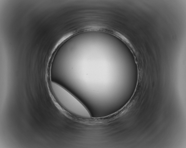 X0000085261042200703090851