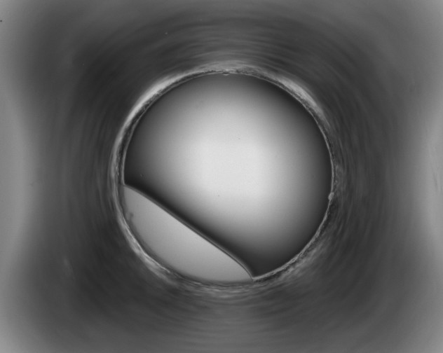 X0000085261046200703090851