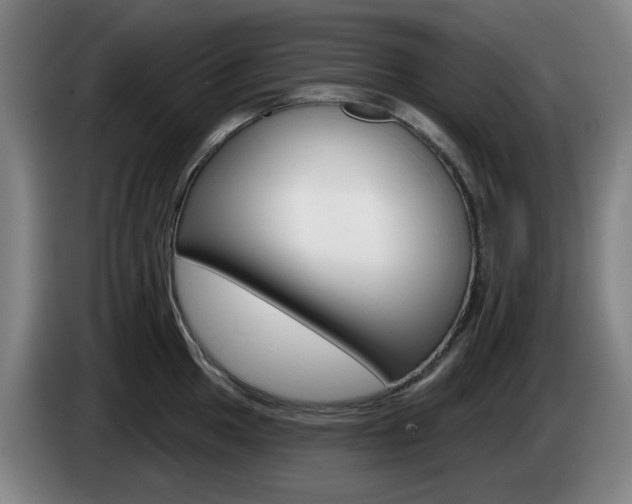 X0000085261049200703090851