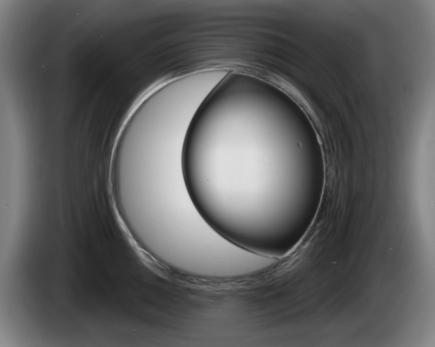 X0000085261050200703090851