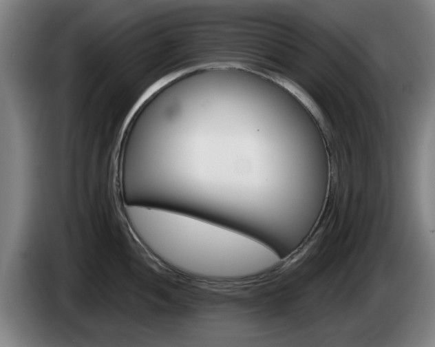 X0000085261052200703090851