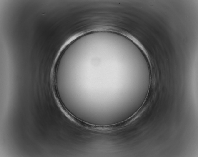 X0000085261053200703090851