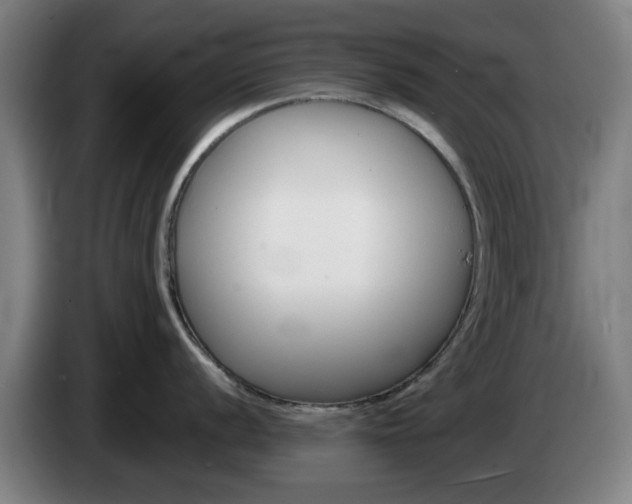 X0000085261056200703090851
