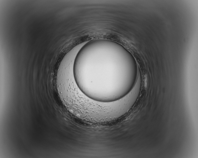 X0000085261059200703090850