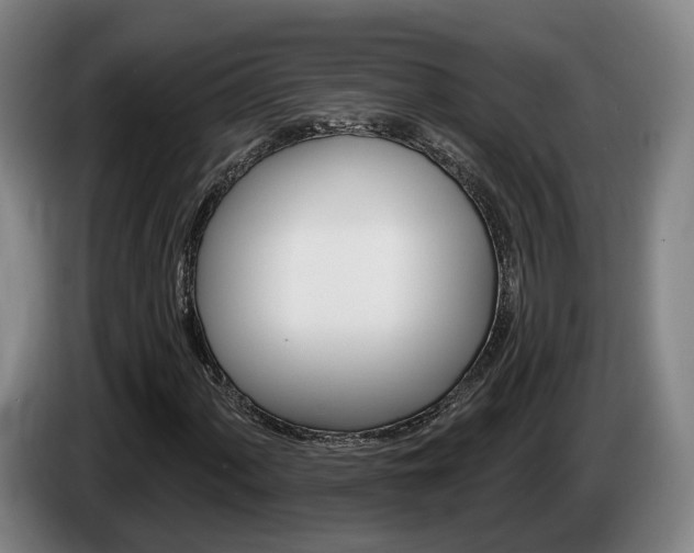 X0000085261060200703090850