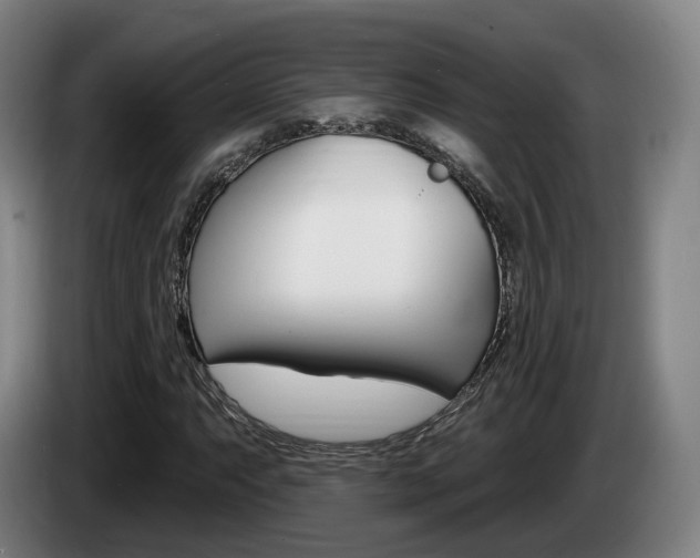 X0000085261063200703090850