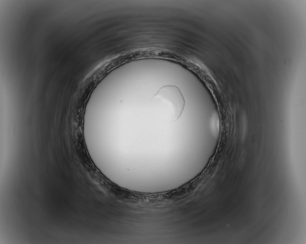 X0000085261064200703090850