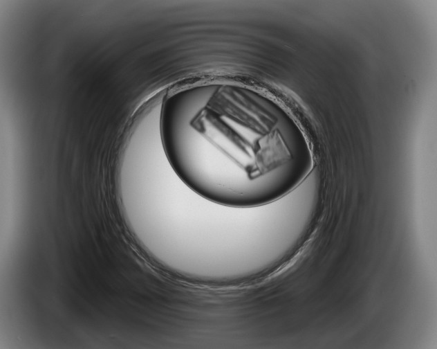 X0000085261065200703090850