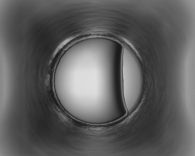 X0000085261066200703090850