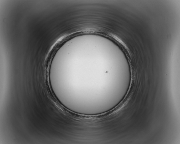X0000085261067200703090850