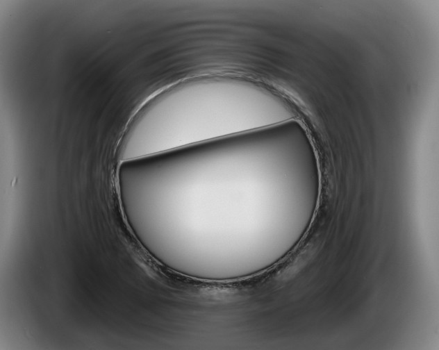 X0000085261073200703090850
