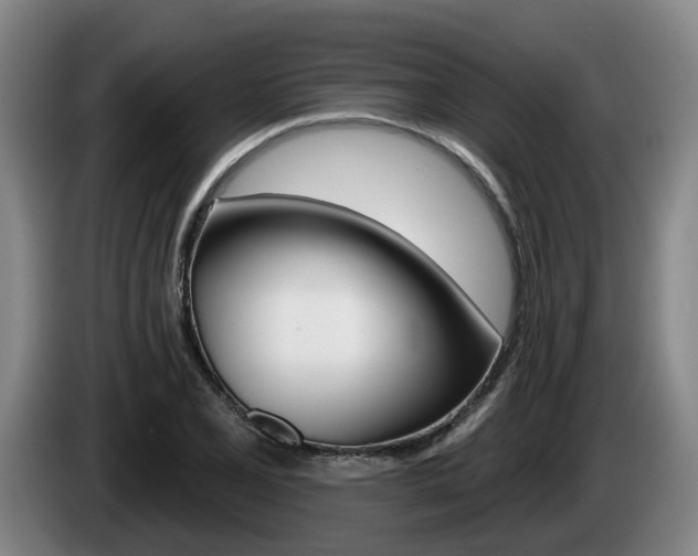 X0000085261077200703090850