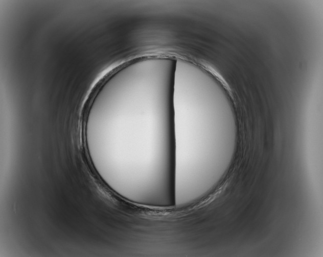 X0000085261079200703090850