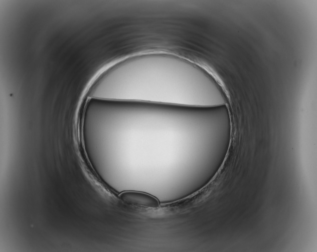 X0000085261080200703090850