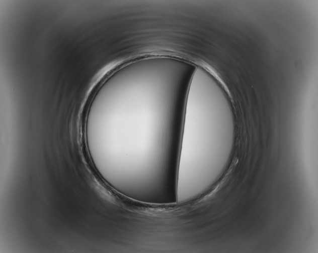 X0000085261082200703090850