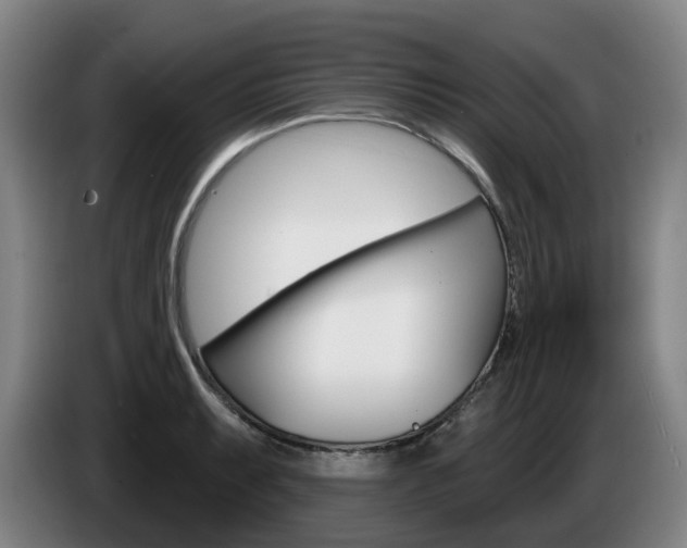 X0000085261087200703090850