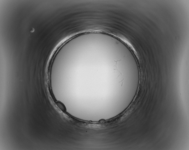 X0000085261088200703090850