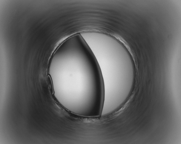 X0000085261089200703090850