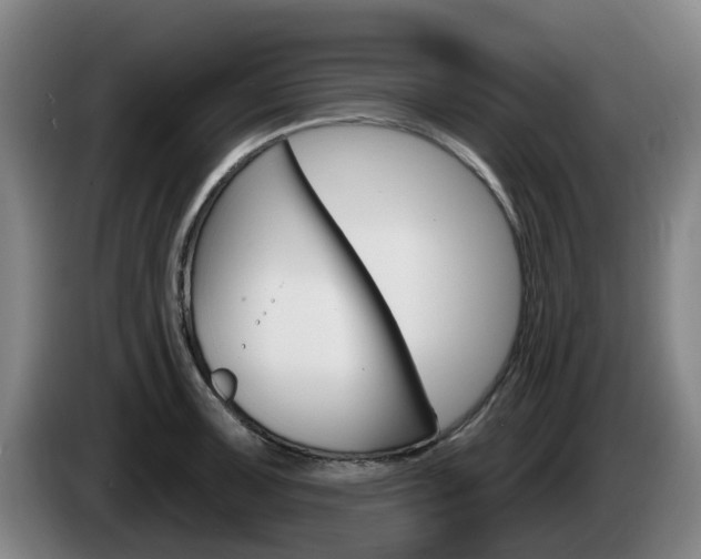 X0000085261091200703090850