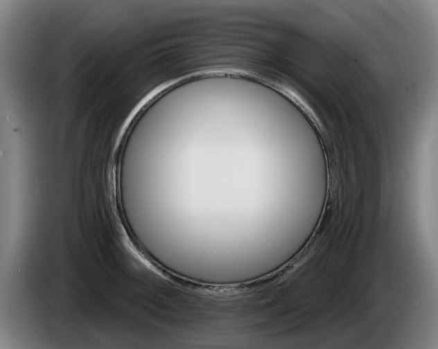 X0000085261092200703090850