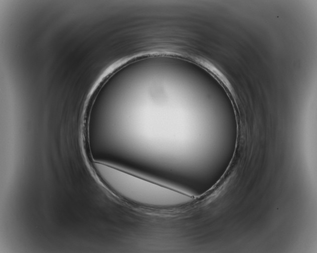 X0000085261093200703090850