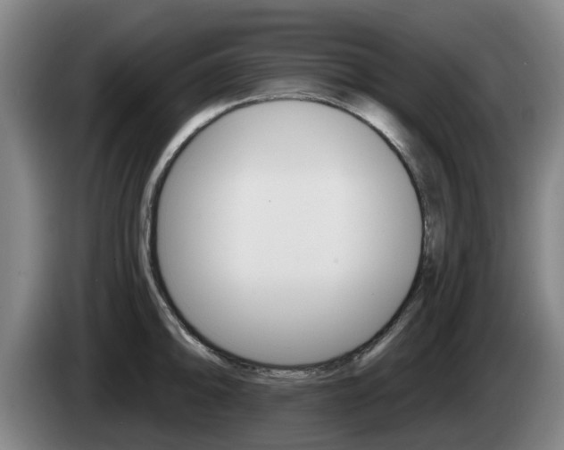 X0000085261094200703090850
