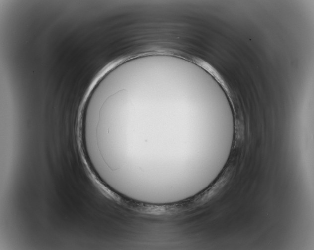 X0000085261098200703090850