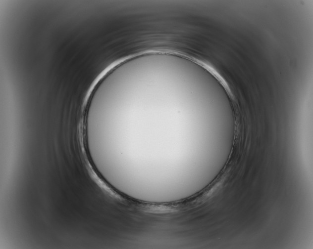 X0000085261100200703090849